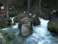 /album/myrafalle-vizeses/myrafallesteinwandklamm-jpg/